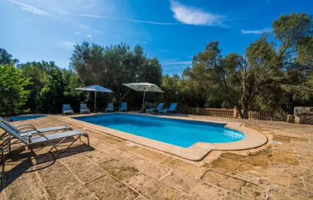 Agroturismo Es Bosc, Appartement 4 personnes à Manacor - Photo 10