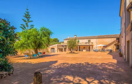 Agroturismo Es Bosc, Appartement 4 personnes à Manacor - Photo 13