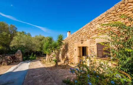 Agroturismo Es Bosc, Appartement 4 personnes à Manacor - Photo 21