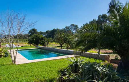 Ca Ses Nines, Maison 4 personnes à Port Verd - Photo 3