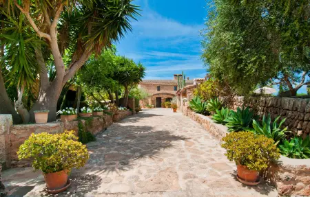 Es Rafal Roig Es Blau, Appartement 4 personnes à Manacor - Photo 37