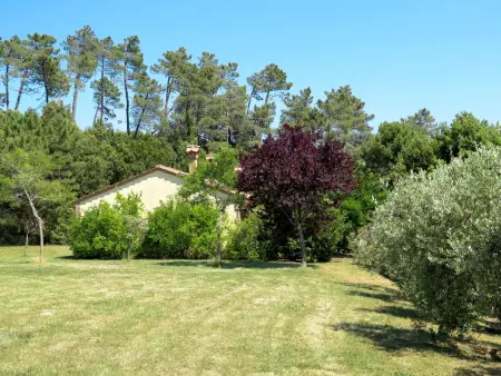 Falco, Appartement 5 personnes à Riparbella - Photo 32