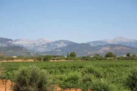 Ca'n Canastro, Villa avec terrasse et piscine - Photo 24