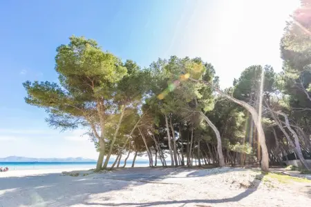 Pinya, Maison à Alcúdia proche de la plage - Photo 18