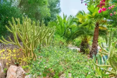 Can Pina - Eco Pina -, Maison à Costitx avec Piscine et Sentiers - Photo 20