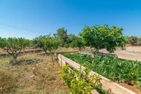 Sa Raconada, Retraite paisible près d'Algaida - Photo 30
