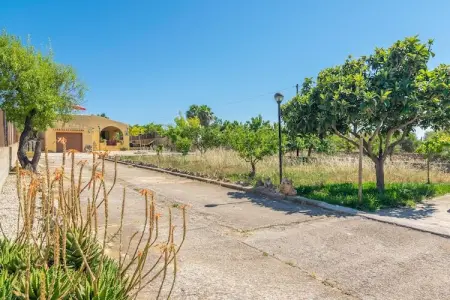 Sa Raconada, Retraite paisible près d'Algaida - Photo 31