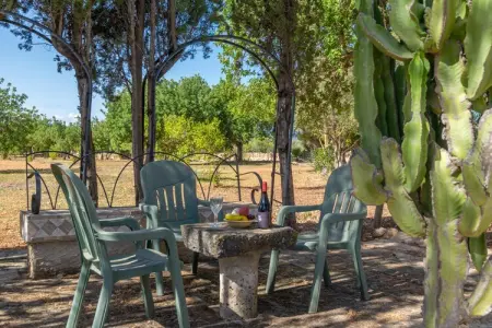 Sa Caseta (ca N'andreu), Villa à Santa Maria avec piscine privée salée - Photo 47