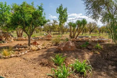 Sa Caseta (ca N'andreu), Villa à Santa Maria avec piscine privée salée - Photo 53