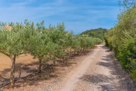 Son Floriana, Retraite nature près de Cala Bona - Photo 36