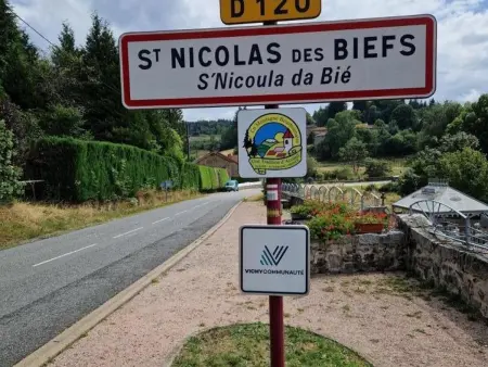 Gîte paisible au cœur de la montagne bourbonnaise, animaux acceptés - Photo 11