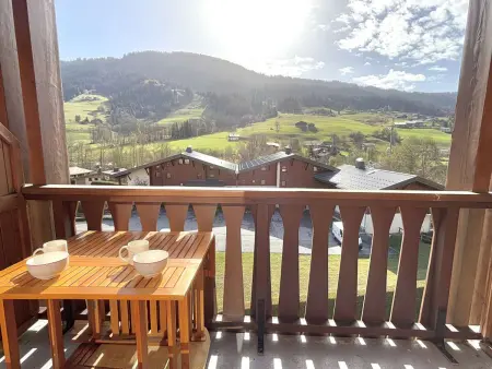 Studio alcôve 3 pers avec terrasse près des pistes et parking à Praz-sur-Arly - Photo 11