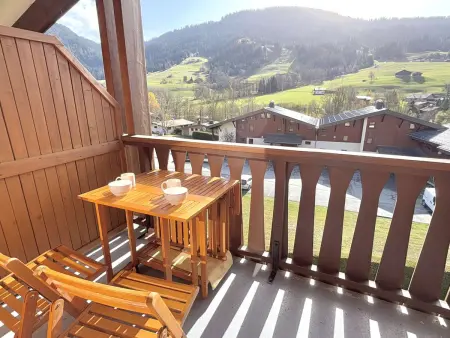 Studio alcôve 3 pers avec terrasse près des pistes et parking à Praz-sur-Arly - Photo 12