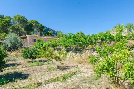 S'aresta Den Rumbet, Villa à Llucmajor avec piscine privée - Photo 17