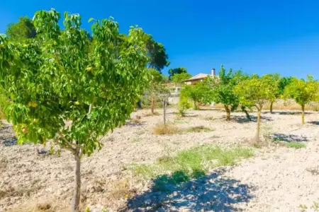 S'aresta Den Rumbet, Villa à Llucmajor avec piscine privée - Photo 20