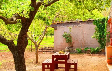 Gonzalo, Maison 4 personnes à Valldemossa - Photo 10
