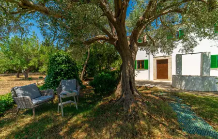 Can Dameto, Maison 4 personnes à Binissalem - Photo 17