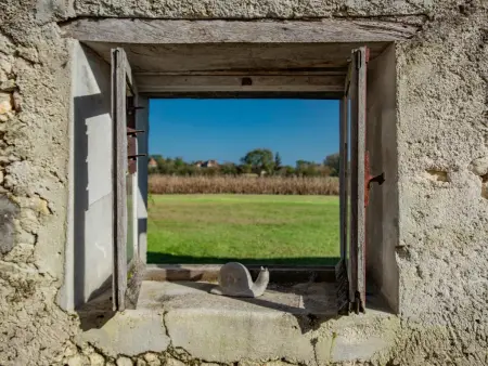Les Ecures 1, Maison de campagne + piscine et vue chateau - Photo 39