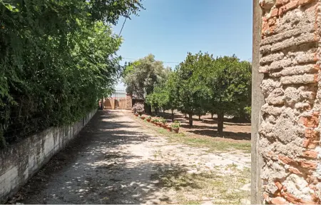 Villa Mesiano, Maison 4 personnes à Polistena - Photo 11