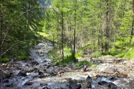 Résidence Les Hauts De Preclaux, Résidence Les Hauts De Preclaux - Photo 30