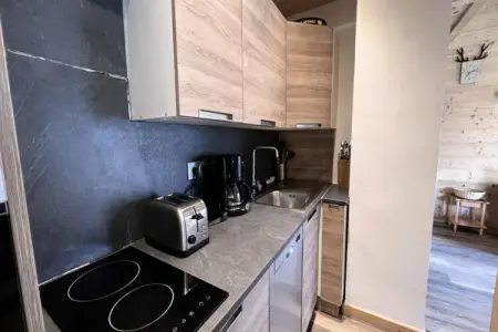 Appartements à La Clusaz, Appartements à La Clusaz - Photo 15