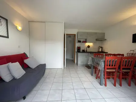 Maison T3 climatisée avec piscine, animaux admis, parking - Photo 3