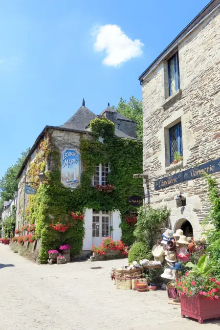 Le Moulin Neuf-2 Pers.Supérieur, Maison 2 personnes à Rochefort en Terre - Photo 24