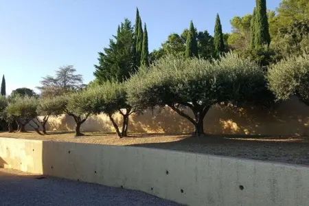 341589, Maison de vacances à Lorgues avec piscine - Photo 14