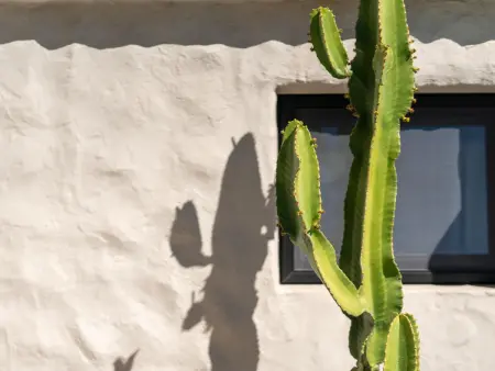 Oasis de paix à Tafira: gîte rustique-moderne avec piscine et Wi-Fi - Photo 9
