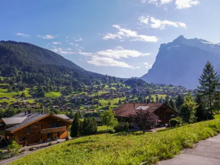 Réan, Appartement 4 personnes à Grindelwald - Photo 4