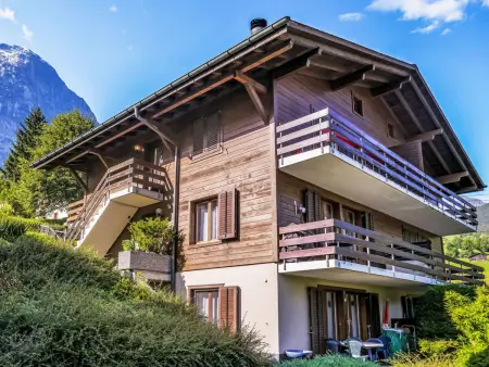 Réan, Appartement 4 personnes à Grindelwald - Photo 24