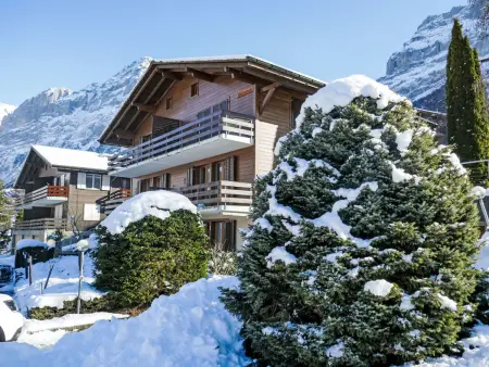 Réan, Appartement 4 personnes à Grindelwald - Photo 29