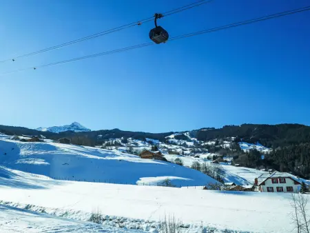 Réan, Appartement 4 personnes à Grindelwald - Photo 30