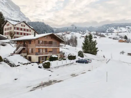 Réan, Appartement 4 personnes à Grindelwald - Photo 31