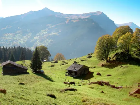 Réan, Appartement 4 personnes à Grindelwald - Photo 36
