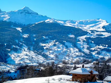 Réan, Appartement 4 personnes à Grindelwald - Photo 38