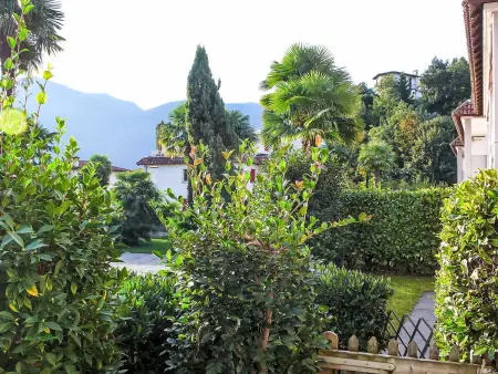 Collina Verde B, Appartement 4 personnes à Ascona - Photo 8