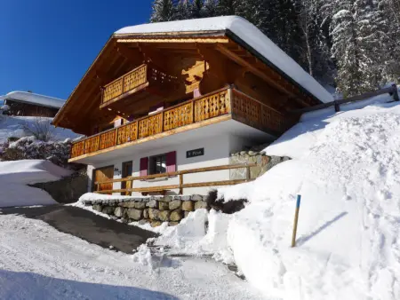 Saint Piran, Chalet 10 personnes à Villars - Photo 35