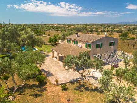 Son Ulari Gran, Maison 8 personnes à Can Picafort - Photo 33