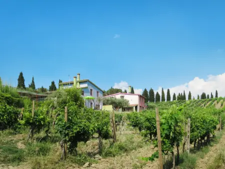 Conte Francesco I, Maison 8 personnes à Certaldo - Photo 31