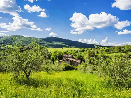 Casale Fonte, Gite 9 personnes à Roccastrada - Photo 35