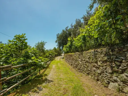 La Sperduta, Maison 4 personnes à Montignoso - Photo 28