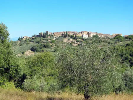 Il Casino, Gite 5 personnes à San Donato in Poggio - Photo 29