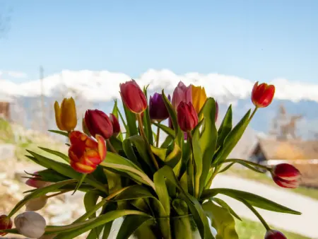 Papillon, Chalet 5 personnes à Nendaz - Photo 16