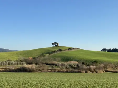 La Carraia, Gite 5 personnes à Bibbona - Photo 58