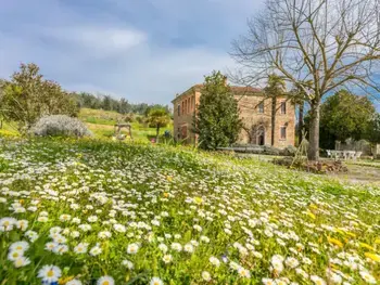 Casa rural en Scrofiano,Podere Casina IT5338.651.1 N°244113