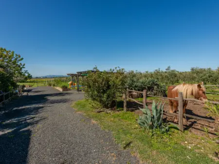 Bellosguardo, Gite 6 personnes à Roccastrada - Photo 39