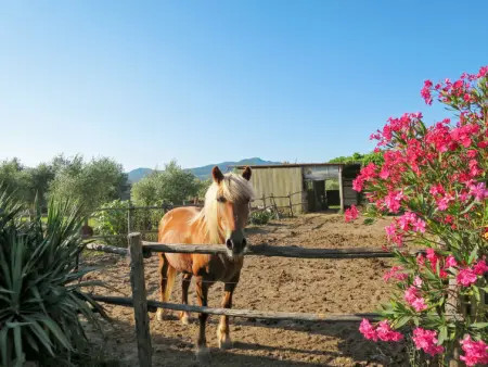 Bellosguardo, Gite 6 personnes à Roccastrada - Photo 47