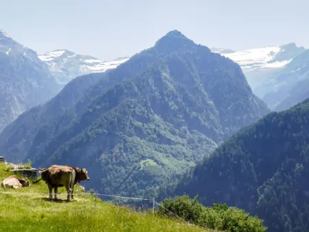 Rustico Pamela, Maison 4 personnes à Malvaglia - Photo 18