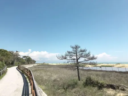 Club dei Pini, Maison 6 personnes à Bibione - Photo 18